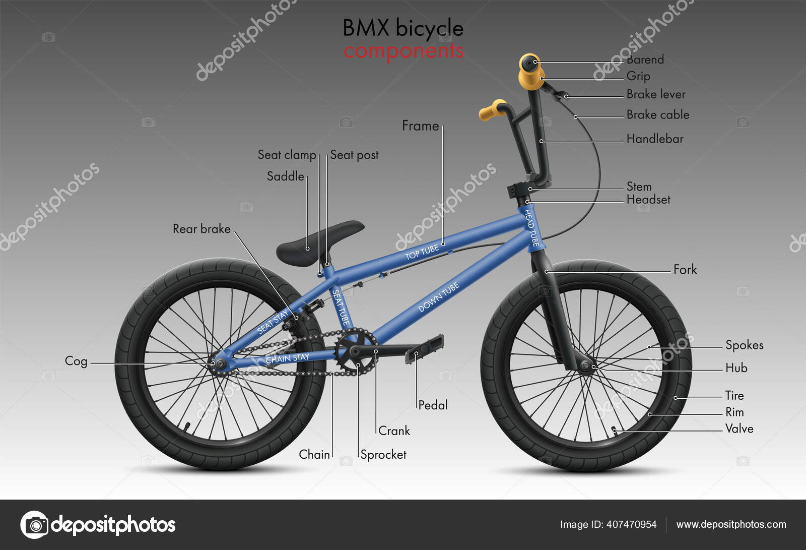 Labeled Bmx Bicycle Components Vector Technical Illustration Shows Diagram Bike Stock Vector by