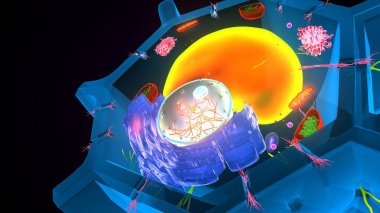 Hücre yapısı. 3d illüstrasyon