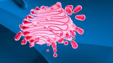 Hücre yapısı. 3d illüstrasyon