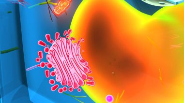 Hücre yapısı. 3d illüstrasyon
