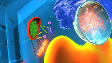 Hücre yapısı. 3d illüstrasyon