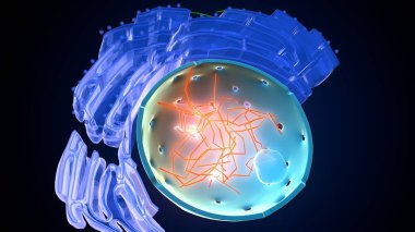 Hücre yapısı. 3d illüstrasyon