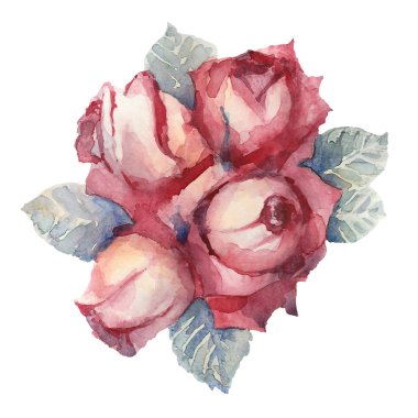 El çizilmiş kroki bir küçük kırmızı gül buketi. Suluboya resim.