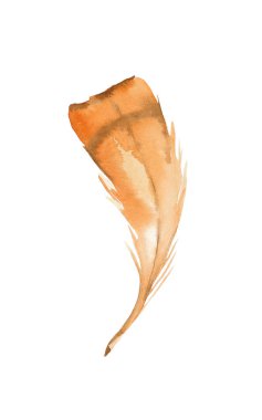 Tropik turuncu bir kuşun tüyü. Elle çizilmiş çizim. Suluboya İllüstrasyon.