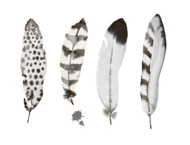 Dört stilize grafik tüyler. Çizgili ve benekli tüyler. Mürekkep resimde çizilmiş.