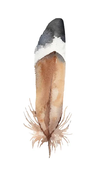 Hand Drawn Sketch Pennaceous Feather White Stripe Watercolor Illustration — Stock Photo, Image