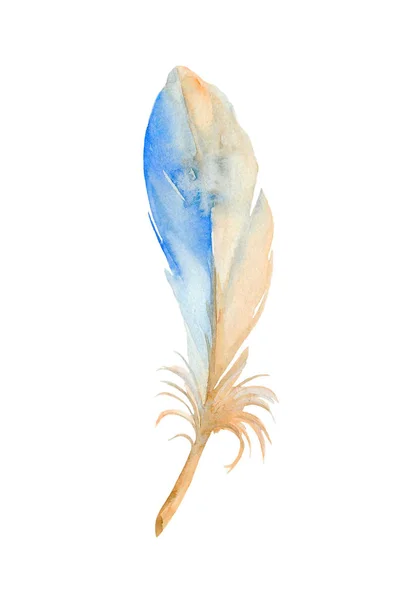 Stylized Graphic Blue Feather Common Kingfisher Hand Drawn Watercolor Illustration — Stock Photo, Image