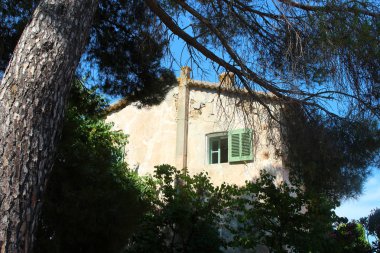 Eski Beyaz Saray yeşil panjurlar ile pencere ile. Bina ayakta Saint Tropez, Provence Alpes Cte d'Azur, Güneydoğu Fransa büyük çam ağacında gölgesi altında.