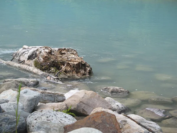 El primer plano del tronco y las piedras en el agua del lago . —  Fotos de Stock