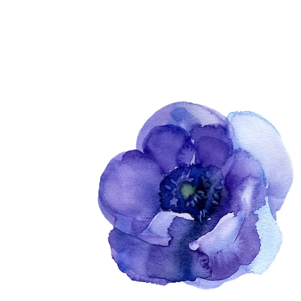 Lila anemoner. Fyrkantig gratulationskort med blommorna. Watercol — Stockfoto