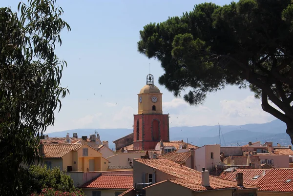 Gran pino en el fondo de los tejados de azulejos y el campanario de la iglesia de Saint-Tropez en un día de verano. Calles históricas de Saint-Tropez, Provenza-Alpes-Cte d 'Azur, sureste de Francia —  Fotos de Stock