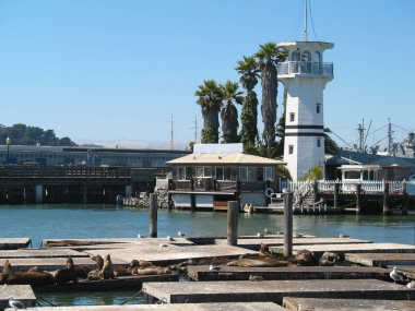 Pier 39 ve bir deniz feneri, San Francisco, California, Amerika Birleşik Devletleri. Platformlarda dinlenen deniz aslanları.