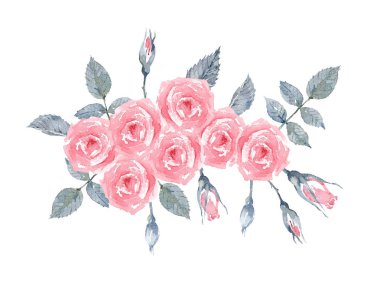 Gül Pembe Aşk. Beyaz arka planda gül çalısı. Gül Buketi ile Tebrik Kartı. Suluboya illüstrasyon.