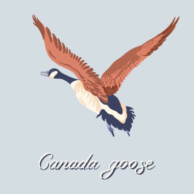 canada goose quote vector