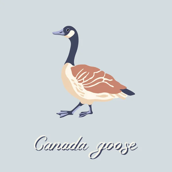 Канадские гуси. Профиль ходячей птицы. Винтажная коллекция. Векторная иллюстрация. — стоковый вектор