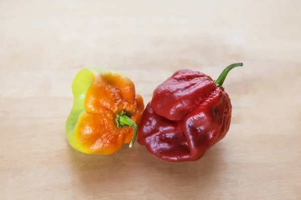 Red Hot Chilli pepper Scotch Bonnet Caribbean Antillais — Stock Photo, Image