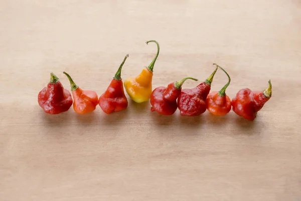 Red Australian Lanterna Pimenta Capsicum Chinense Borracha pouco N — Fotografia de Stock