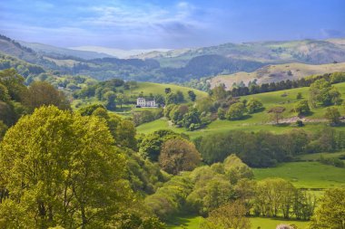 Denbighshir Llangollen yakınındaki Galler tepeler ve orman manzaralı