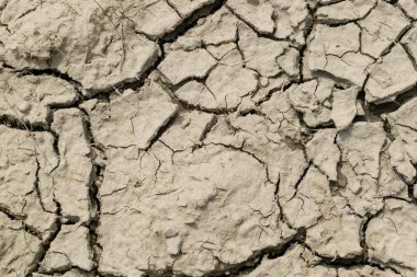 Kuru toprak kırık zemin dokusu