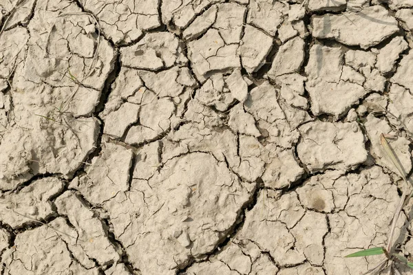 Gebarsten Grond Textuur Van Het Droog Vuil — Stockfoto