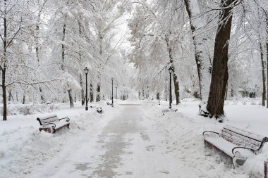 Kışın taze kar kalın tabaka ile kaplı Parkı