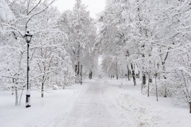 Kışın taze kar kalın tabaka ile kaplı Parkı
