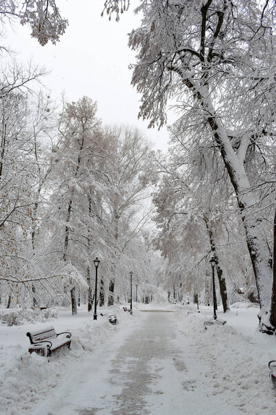 Public park covered with thick layer of fresh snow in winter