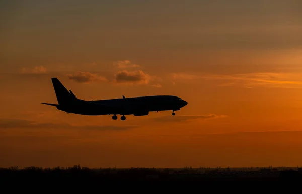 Plane on sunset — Stock Photo, Image