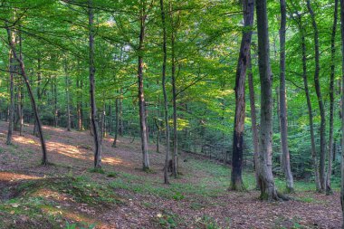 Dağlarda gün batımı