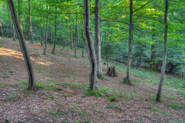 Dağlarda gün batımı