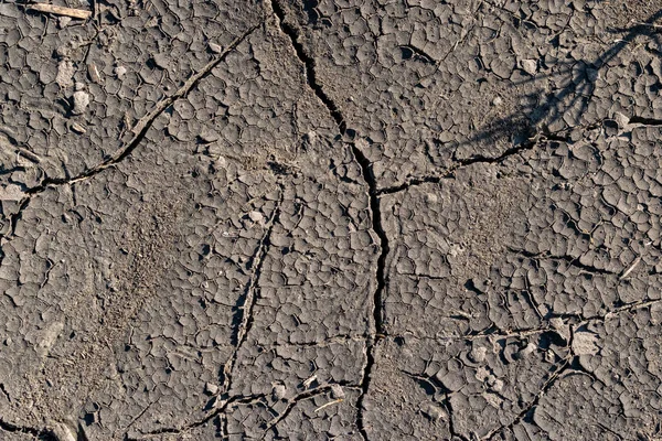 Fondo de suelo agrietado —  Fotos de Stock