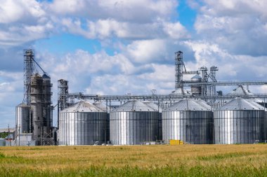 Tahıl asansörü siloları