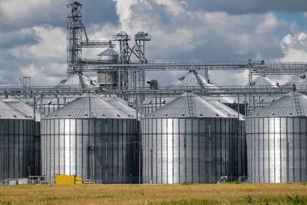 Tahıl asansörü siloları