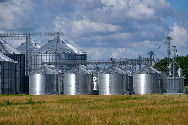 Silos de elevador de grãos — Fotografia de Stock