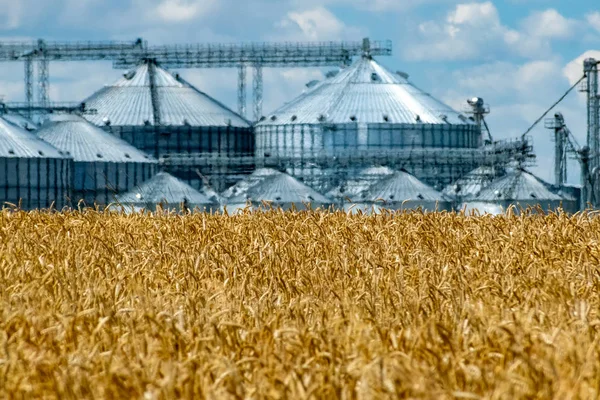 Польові та ліфтові — стокове фото