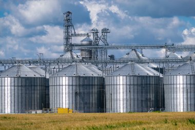 Tahıl asansörü siloları