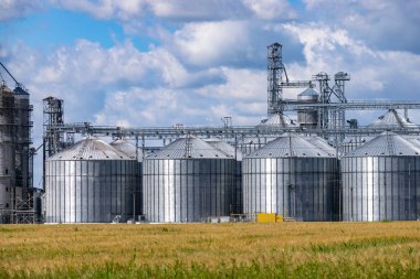 Tahıl asansörü siloları