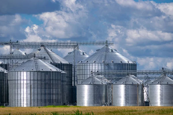 Silos de elevador de grãos — Fotografia de Stock