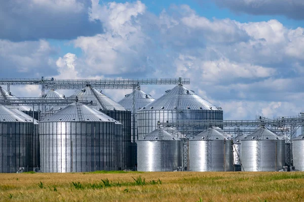 Silos de elevador de grãos — Fotografia de Stock