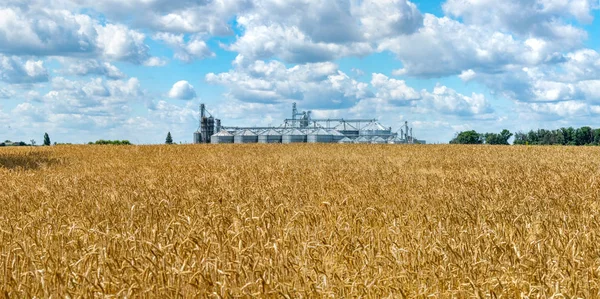 Panorama de campo e elevador — Fotografia de Stock