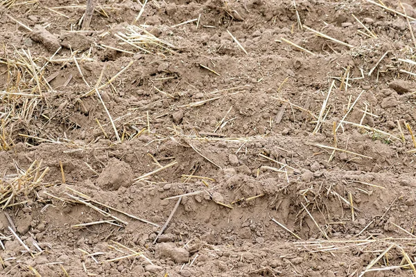 Свежеобработанная почва — стоковое фото