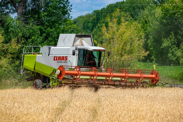 Lexion CLAAS 480 — Fotografia de Stock