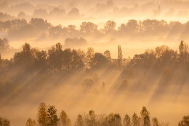 güneş ışınlarının