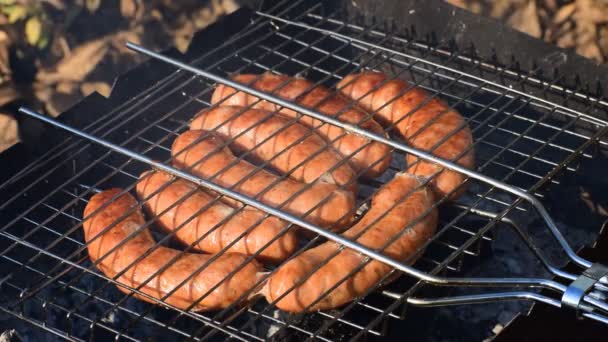 Würstchen Auf Dem Grill Einem Sonnigen Tag — Stockvideo