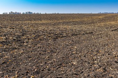 Tarlada ekilmiş toprak