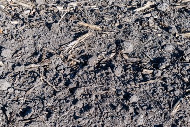 Toprak, maden gübresiyle kaplıydı.