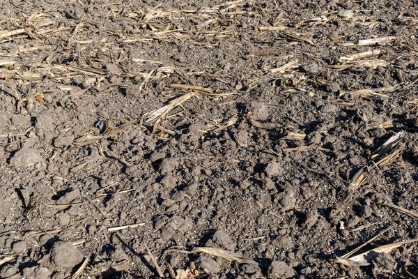 Soil Field Covered Mineral Fertilizer Pellets Closeup Texture — Stock Photo, Image