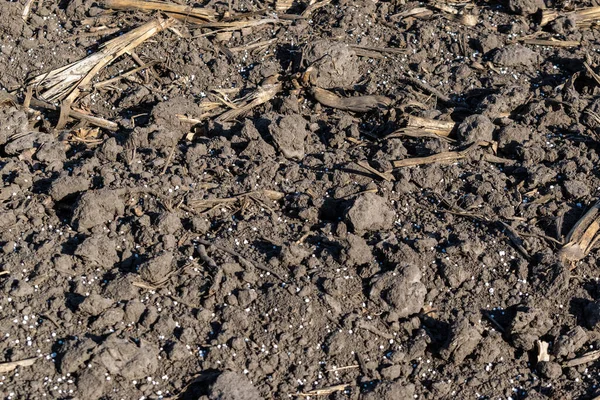 Soil Field Covered Mineral Fertilizer Pellets — Stock Photo, Image