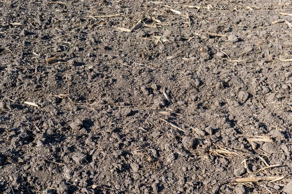 Solo Campo Com Fertilizante Mineral — Fotografia de Stock