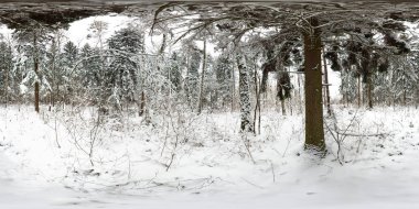 3B Küresel panorama ile kar kış orman ve çam ağaçları ile 360 derecelik görüş açısı. Vr sanal gerçeklik için hazır. Tam equirectangular projeksiyon. Güzel arka plan.